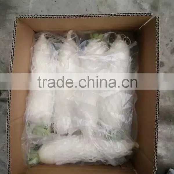 Fresh White Radish photo-3