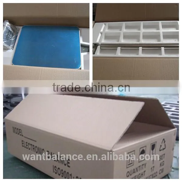 300kg Scale Model photo-6