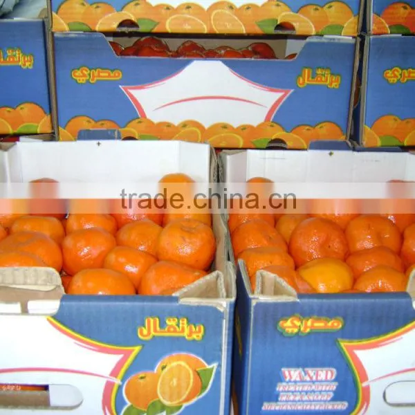 Fresh Orange photo-3
