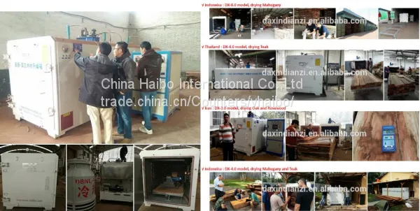 High Frequency Vacuum Wood Dryer photo-3