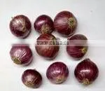 Fresh Onion photo-3