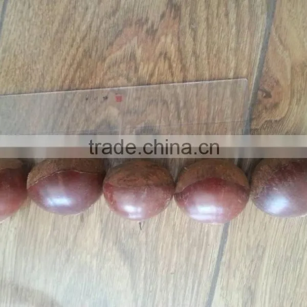 2015 Growth Edible Chestnuts Factory Direct Sales Price photo-2