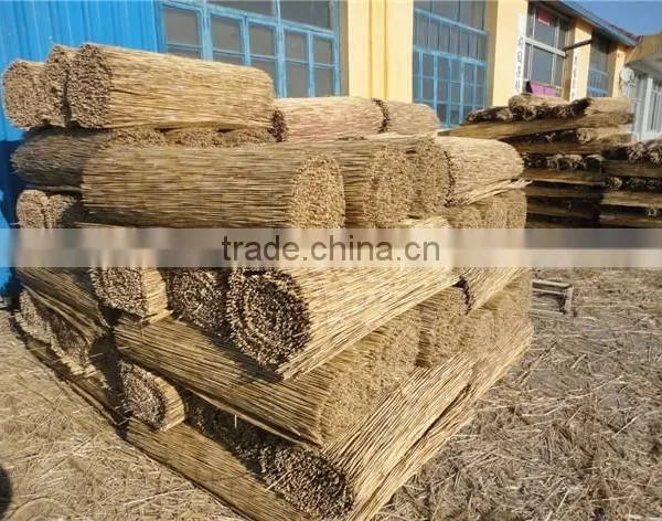 Electrical Drive Any Width Make by Order Reed Rod Screen Weaving Machine photo-4