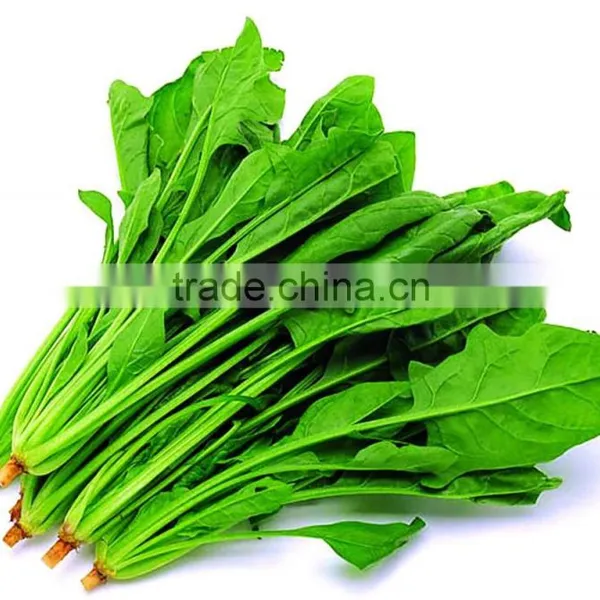 Panasonic Magnetron Spinach Drying and Sterilization Microwave Simultaneously Equipment photo-5