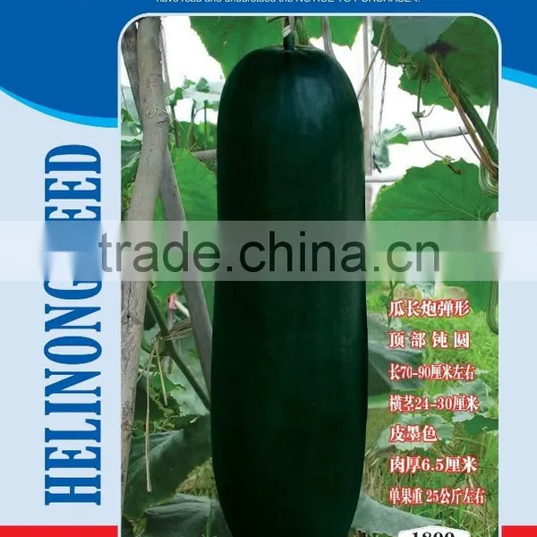 2015 Newly Black Gourd Seeds