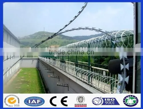 High Quality Concertina Razor Wire, Barbed Razor, Razor Wire Fence for Sale photo-3