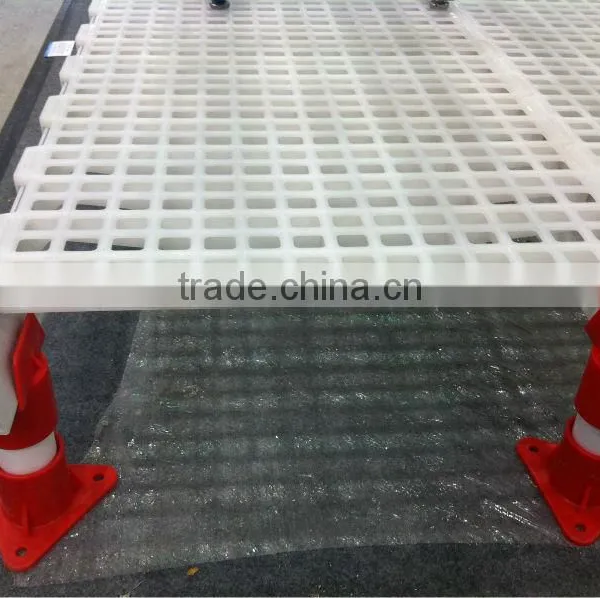 Plastic Chicken Floor
