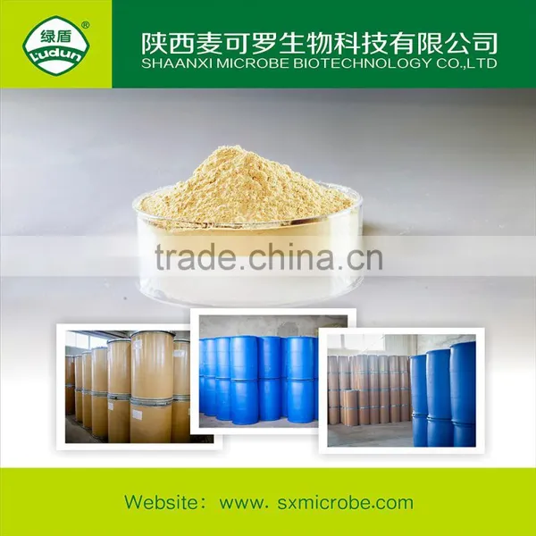 Kasugarmycin in Fungicide photo-2