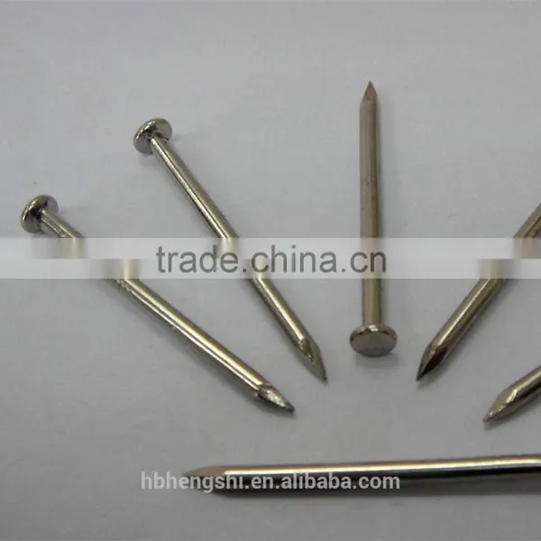 Various Specification Nail/smooth Nail/common Wire Nail photo-4