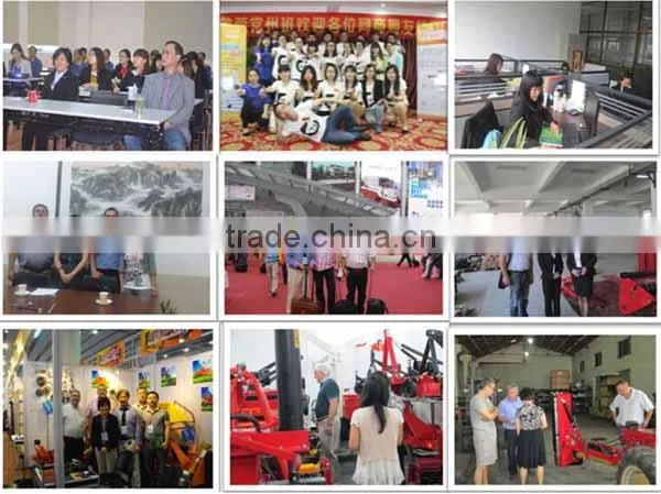 Walking Tractor Steel Hand Reversible Disc Plow Machine photo-5