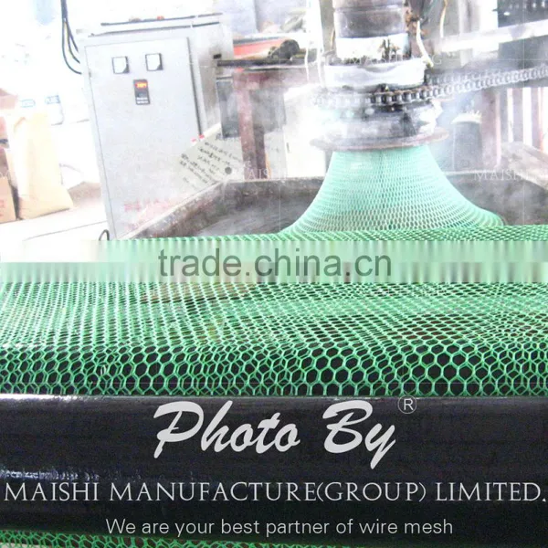 Grass Reinforcement Plastic Net photo-5
