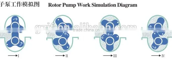 Rotary Lobe Pump/rotor Pump photo-5
