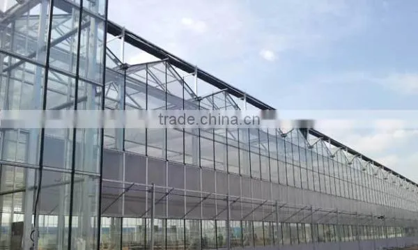 Glass Greenhouse-1 photo-3