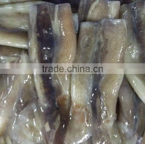 Frozen Illex Squid Tube photo-3