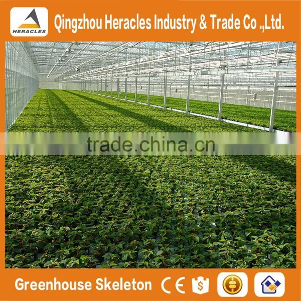 Heracles Trade Assurance Agricultural Tunnel Greenhouses photo-2