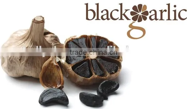 Black Garlic/fermented Garlic/single Garlic photo-5