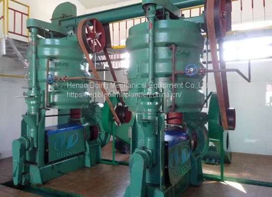 Fully automatic palm kernel oil processing machine