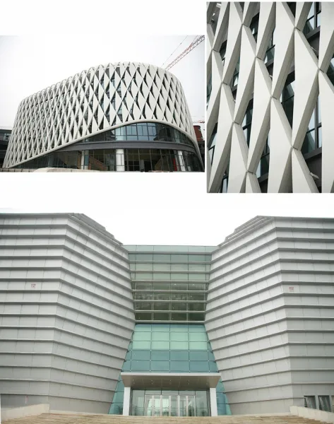 Building Exterior Aluminum Plain Facade photo-2