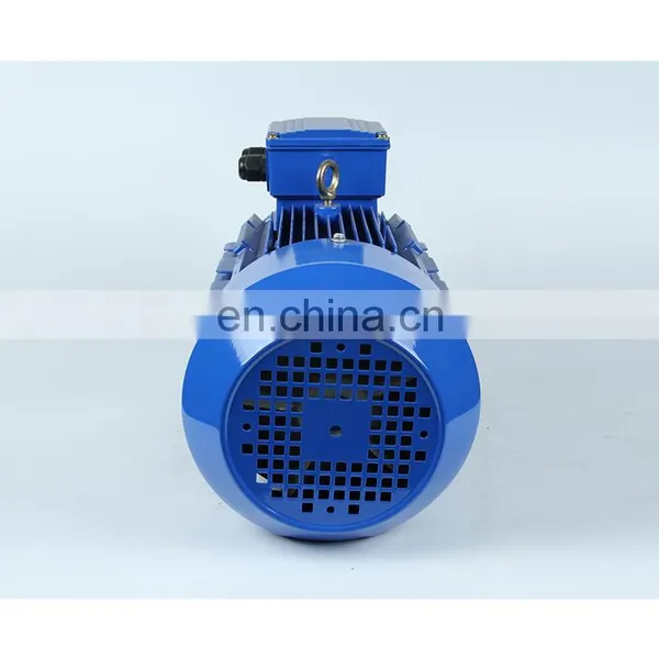 YE2 YE3 Y2 Three Phase ac Electric Induction Motor 0.55kw 0.75hp 50hz 1500rpm 80M1 4pole photo-4