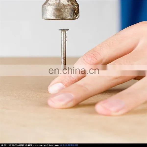 Common Steel Wire Nail From China Factory photo-3