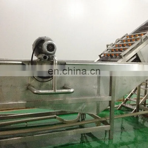 Industrial Fruit and Vegetable Cleaner Washer Bubble Washing Machine photo-4