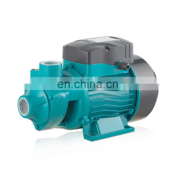 Electric Stainless Steel Insert Rust Resist Pump Head 0.5Hp QB60 Series Peripheral Water Pump