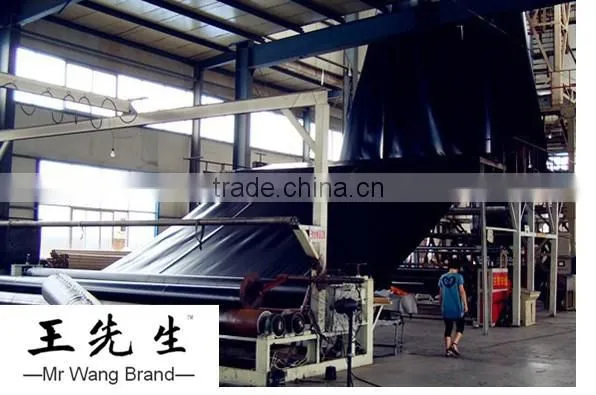 Hdpe Waterproofing Roofing Membrane/waterproof Membrane for Roof With the Best Price