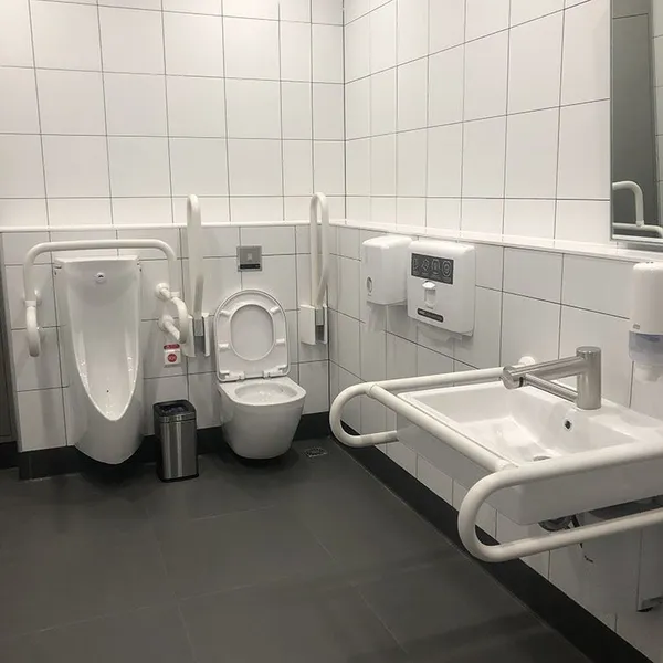 Japanese Bathroom Handrails, Accessible Handrails, Toilet Grab Bars, Elderly Safety Handrails photo-3
