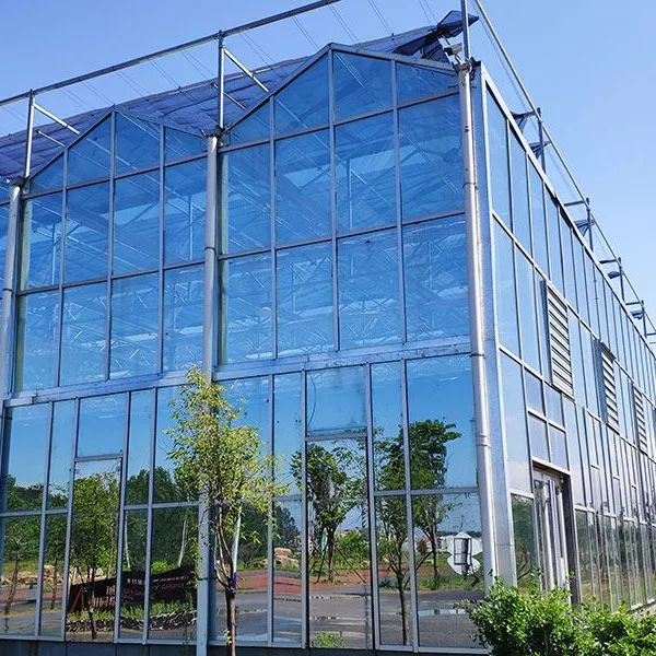 Diffused Greenhouse Glass with Anti-Condensation Coating for Nurseries