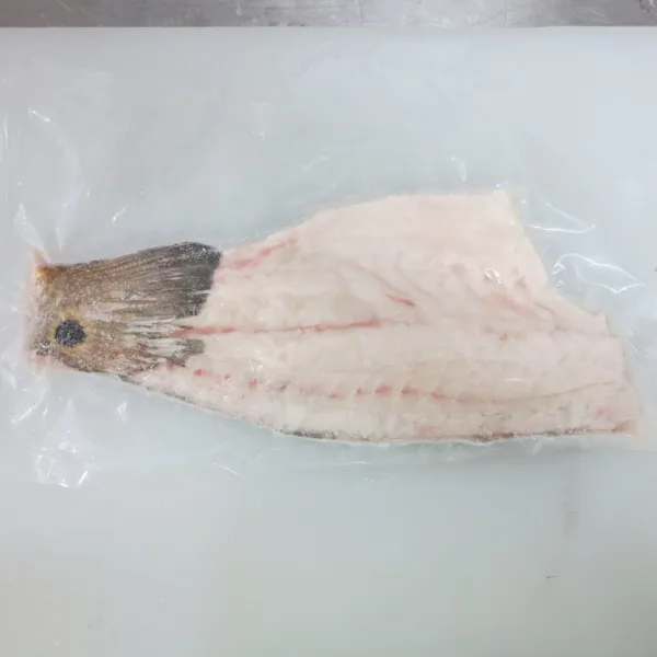 Red Drum Fillet photo-2