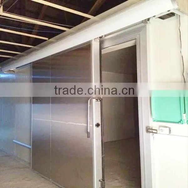 Vegetable Cold Room Sliding Doors for Sale photo-4