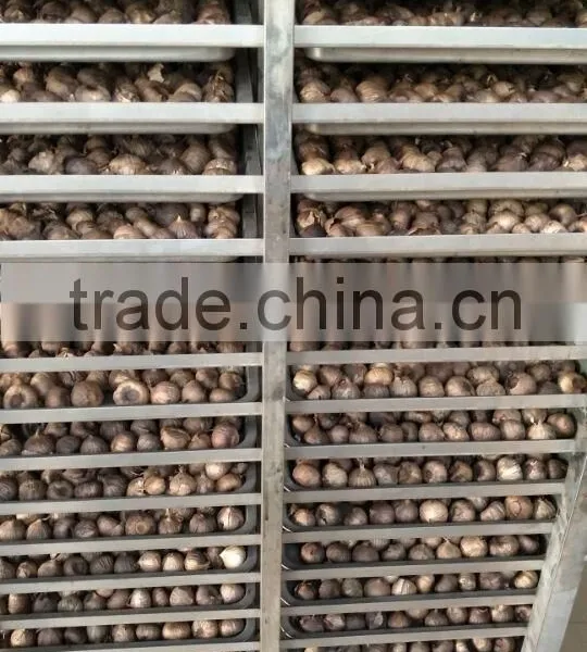 High Temperature Humidity Black Garlic Climatic Chamber Price photo-5