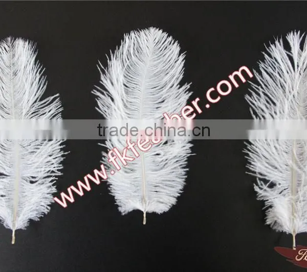 Wholesale Cheap DIY Multicolor Craft Small White Ostrich Feather 15cm to 20cm For Wedding Decorations photo-5