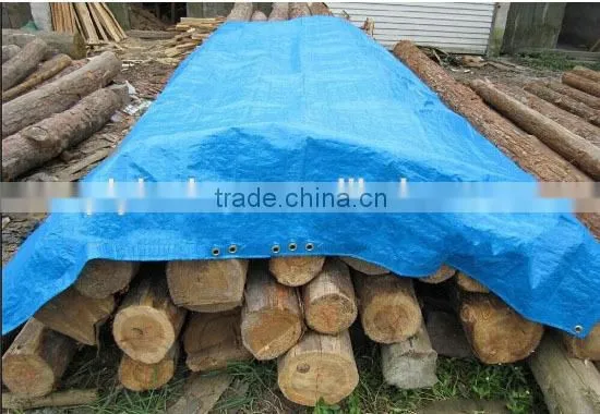 Tarpaulin in Roll, Cheap Price Good Quality Rolling Tarp Fabric, Wholesale Tarpaulin photo-4