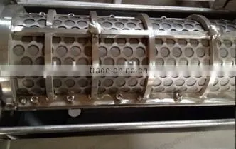 Small Capacity 0.5t/h Fruit Beating Machine photo-4