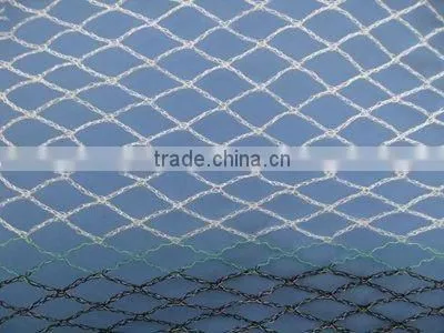 PE Fishing Netting