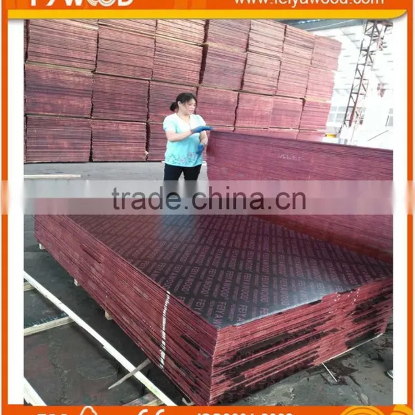 Export Maldives Film Faced Plywood photo-5