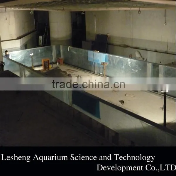 Swim Spa Pool