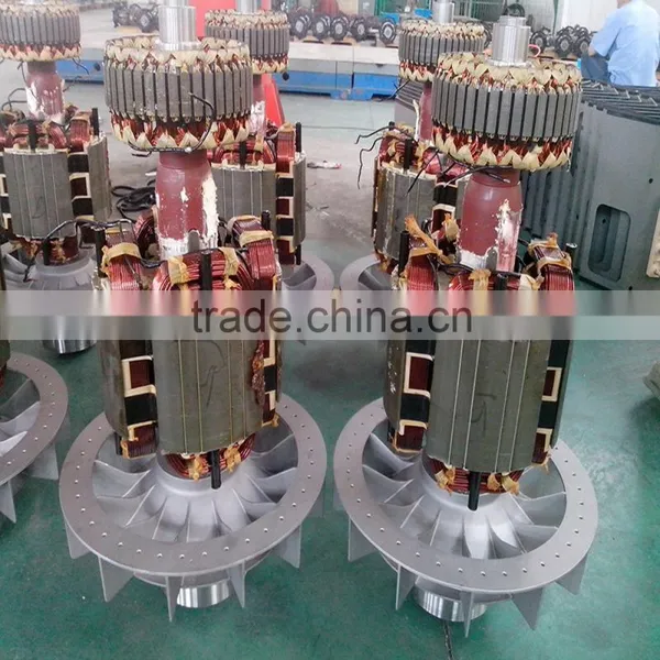 50hz Self Excited Alternator/30kw Brushless Synchronous ac Alternator photo-4