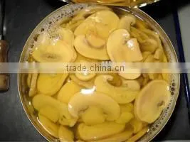 We Are Supplying Canned Mushroom Slices