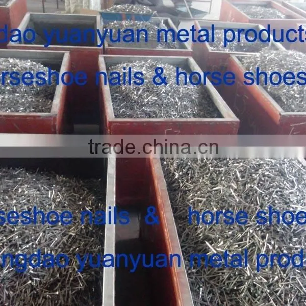 China Factory Wholesale Prices Quality Farrier Steel Horse photo-2