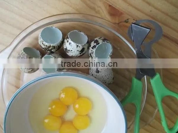 Reasonable Price Stainless Stell Quail Egg Scissors photo-3