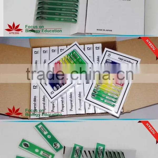 Butterfly W.m. Slides, Glass Prepared Slides,Butterfly Mouthpart Prepared Slides photo-3