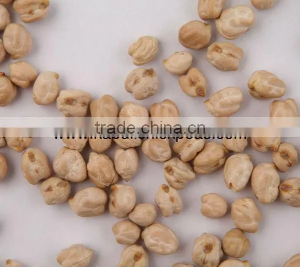 Protein Chickpeas Supplier photo-3