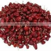 Dried Round Red Chille Pepper photo-4