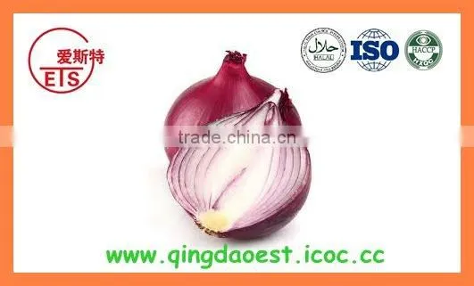 Bulk Chinese Best Quality Fresh Red Onion photo-4