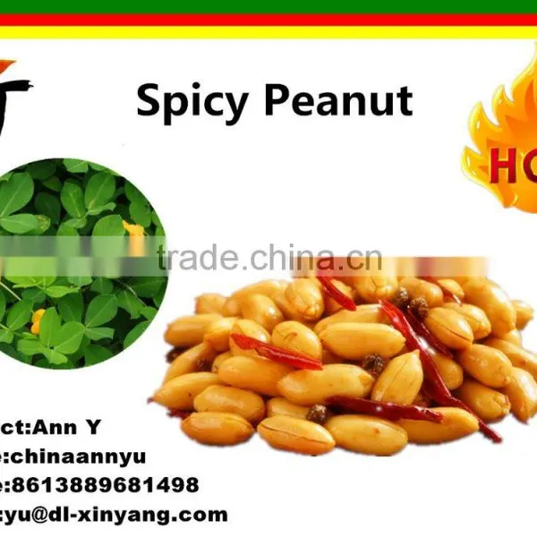 Spicy Hot Fried Peanut photo-4