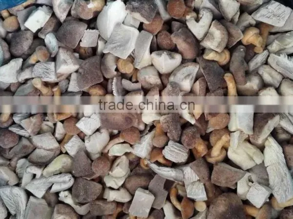 Blended Frozen Mushroom photo-3