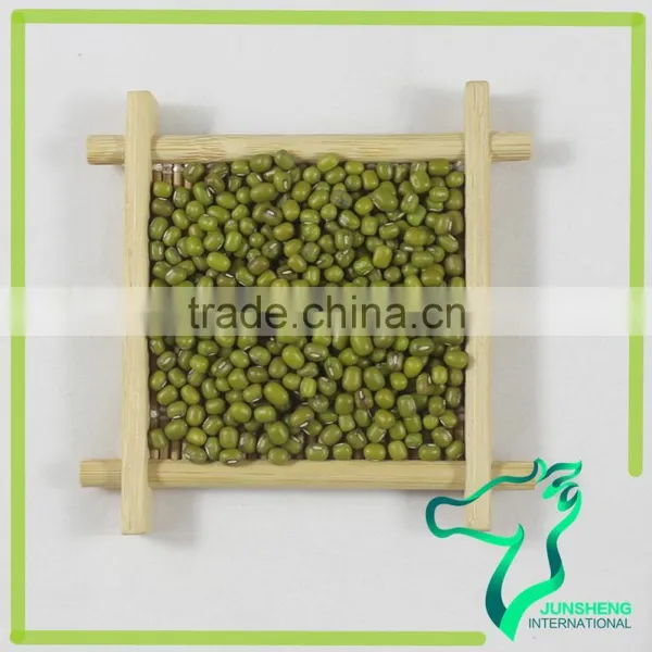 Green Mung Bean/Green Gram/Mung Beans Sprouting