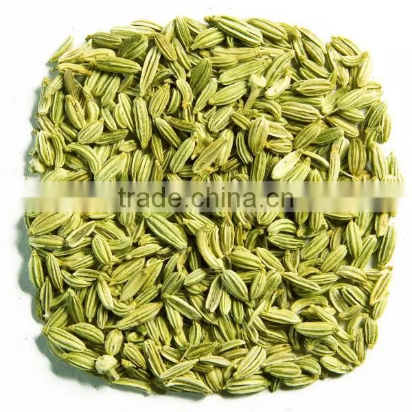 Pakistan Best Quality Fennel Seeds